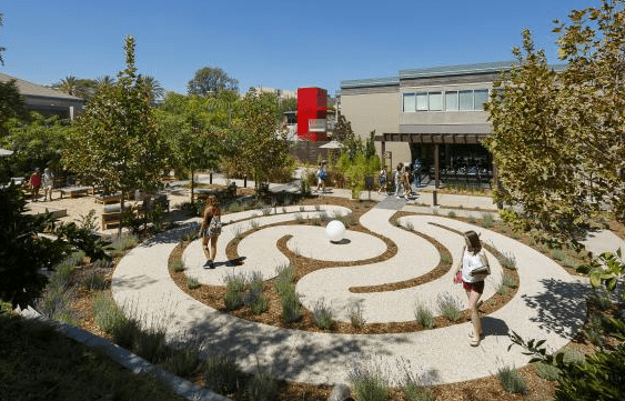 California State University Northridge Helps Students Stay Well