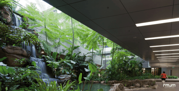 One of the Best Biophilic Hospitals